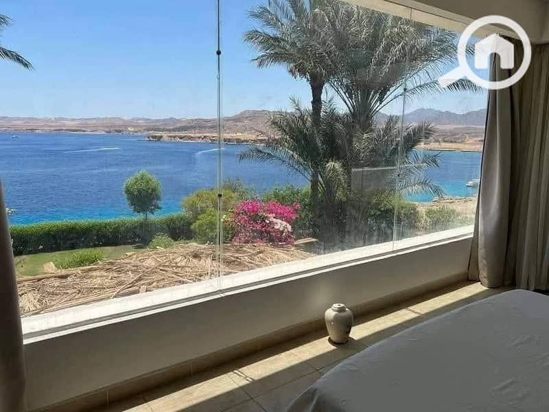 10 586900696_122152163300856691_871999455157735716_n. jpg