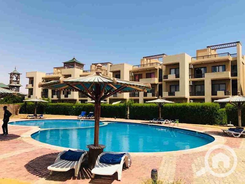 3 IMG-20250314-WA1421. jpg