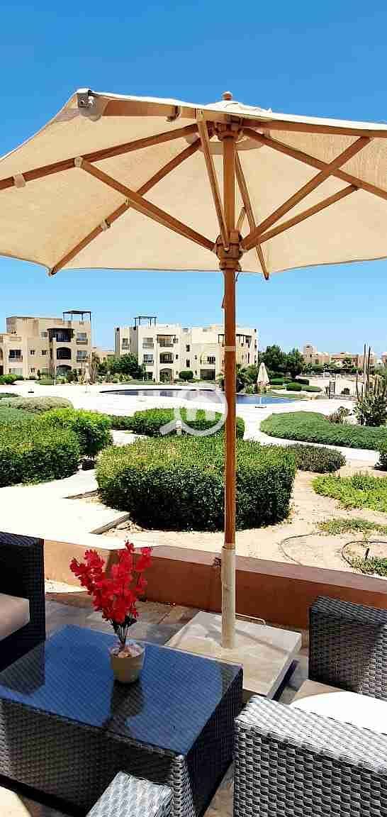 7 IMG-20250313-WA2137. jpg