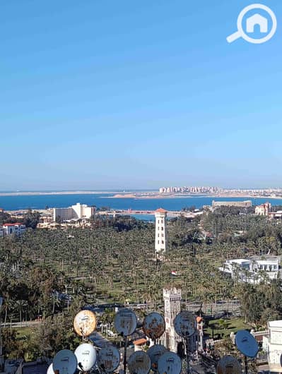 3 Bedroom Flat for Rent in Mandara, Alexandria - 1000246196. jpg