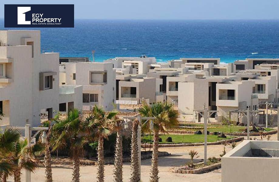 4 WhatsApp Image 2025-12-14 at 23.41. 19_75c700d0. jpg