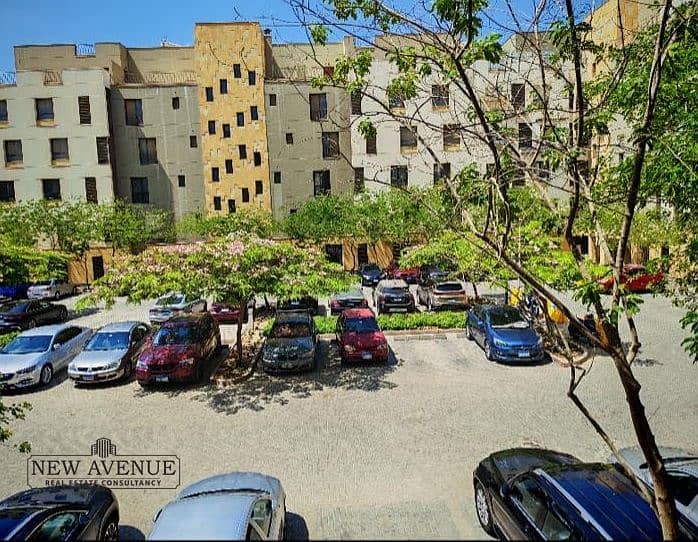 3 7f05d008-91e4-4326-a789-bea6c6ebdb33. jpg