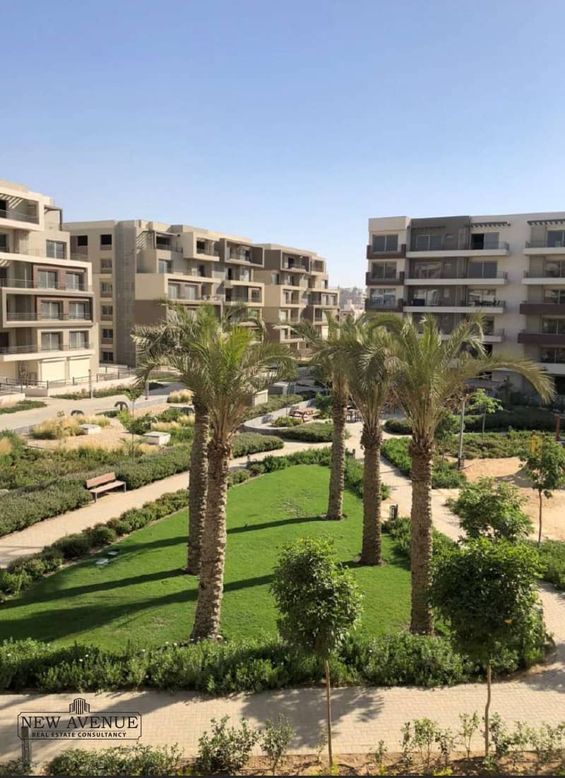 4 038b4263-5727-4348-a72a-daa815040eaa. jpg