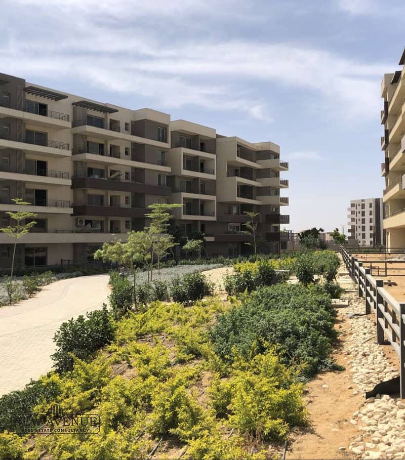 7 583f7ae2-eca9-46ea-a686-d9ae7617b78b. jpg