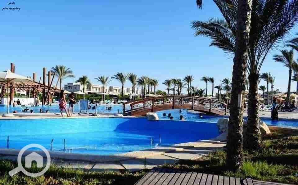 3 FB_IMG_1749081391274. jpg