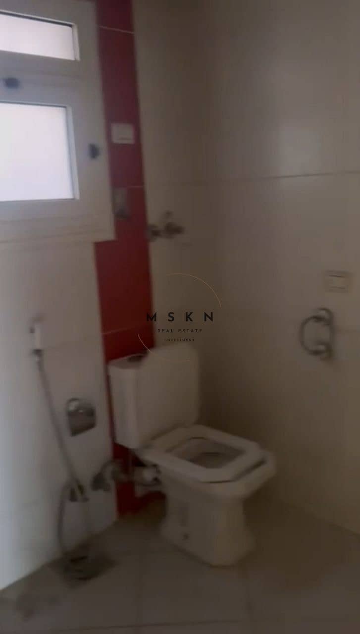 12 photo_2026-01-21 01.41. 43. jpeg