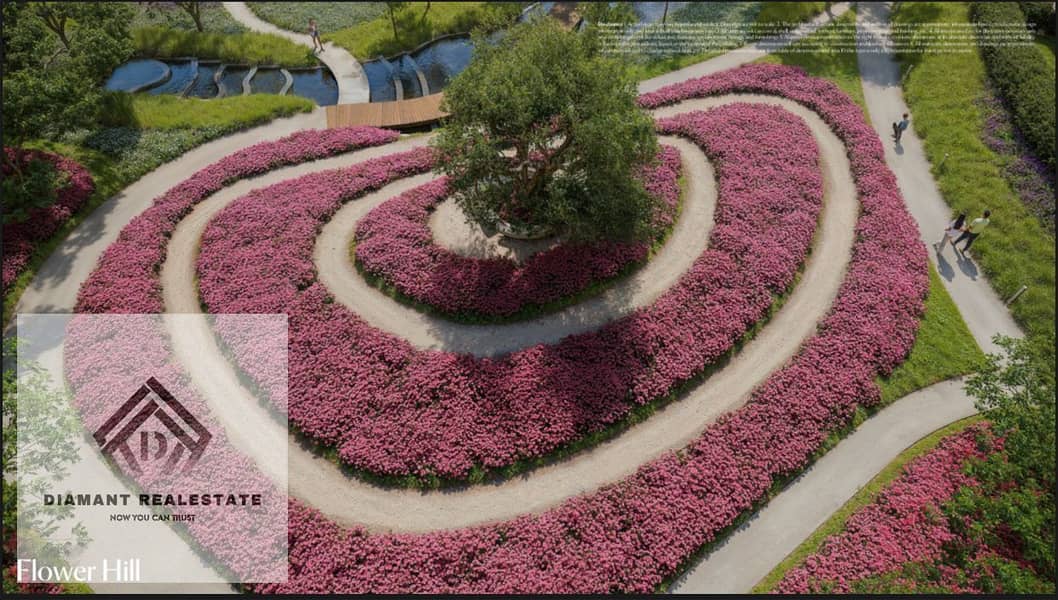 3 WhatsApp Image 2026-01-19 at 12.49. 34 PM (2). jpeg