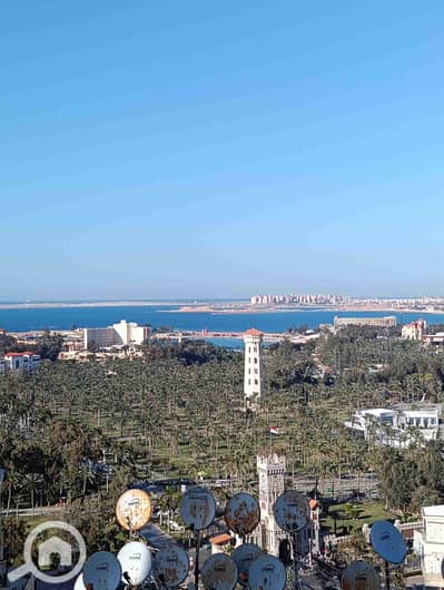 فلیٹ 3 غرف نوم للايجار في المندرة، الإسكندرية - 1000246196. jpg