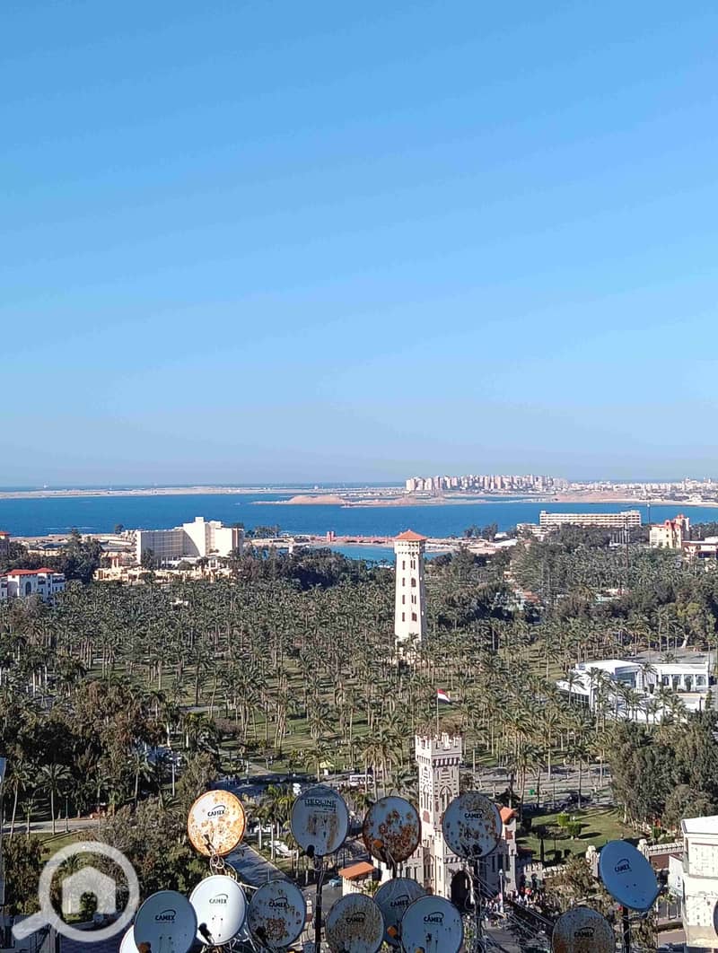 1000246196. jpg 1000246196. jpg