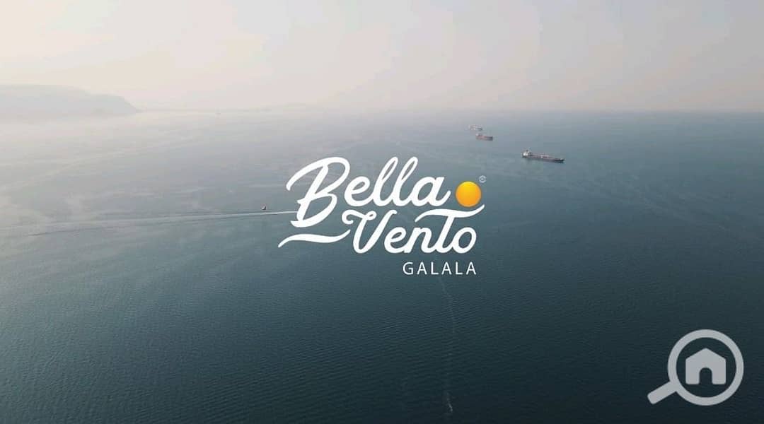 4 0a0c16d7-6a0b-48af-b673-7da2ced02549. jpg