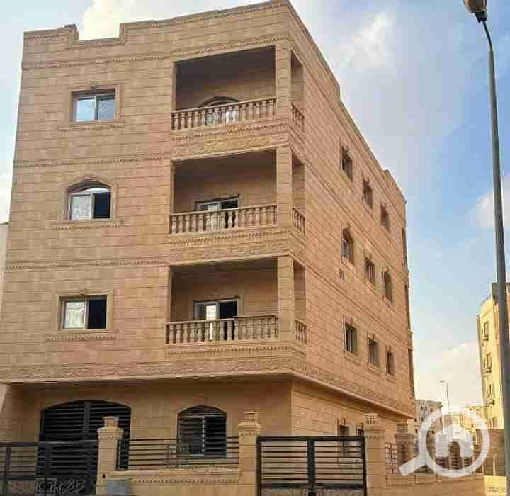 1000587394. jpg 1000587394. jpg