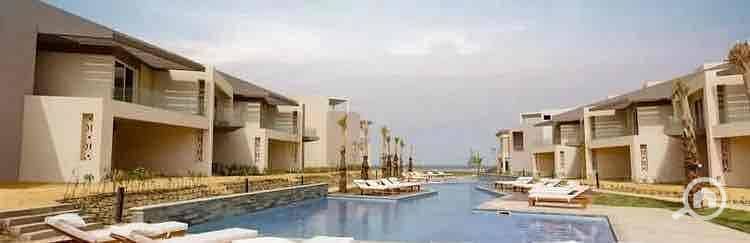 10 13c0a917-702b-4690-af87-e98e5039c8da. jpg