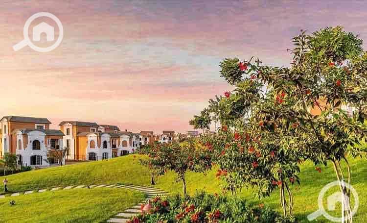 9 5904e1b4-b478-4eb1-8d16-e9c3c2c0a4e9. jpg