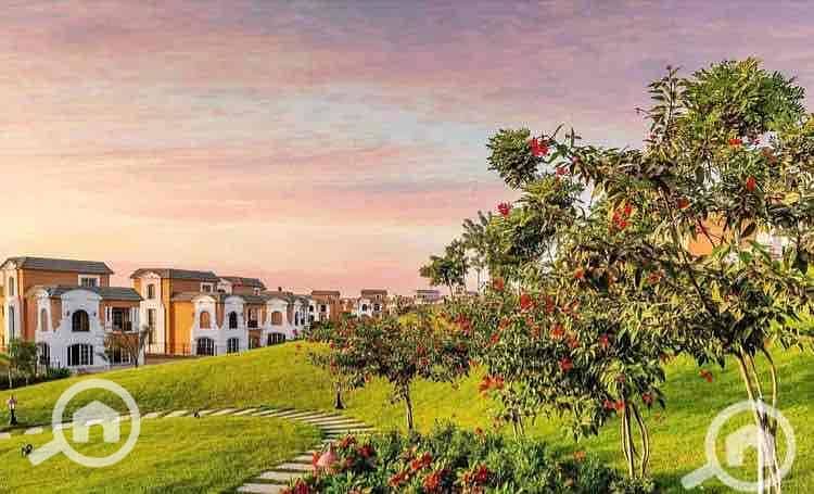 9 5904e1b4-b478-4eb1-8d16-e9c3c2c0a4e9. jpg