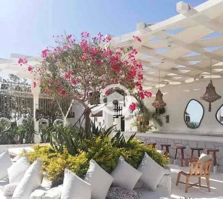 4 900d7103-1acc-4c51-95c5-11390455087a. jpg