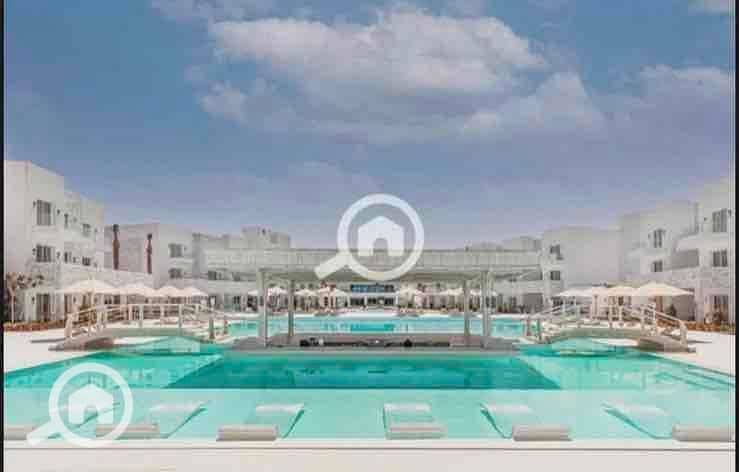 7 bfa4d4dd-cdca-45a7-8e94-65933ab668e4. jpg