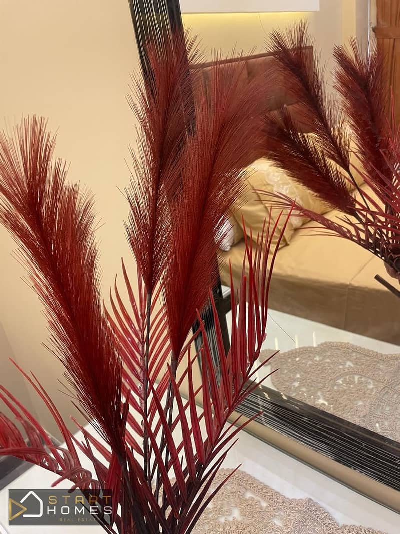 4 WhatsApp Image 2026-01-20 at 6.17. 35 PM. jpeg