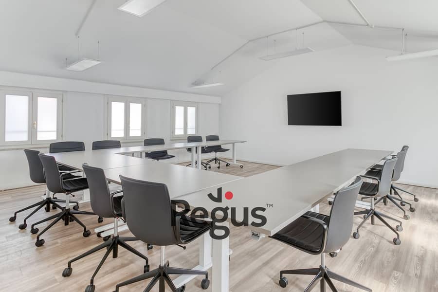 5 Regus Riva Gulli 5740 Trieste Italy Large Meeting Room Without People. jpg