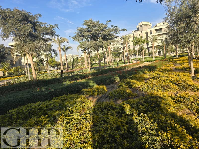 5 20260104_153536. jpg