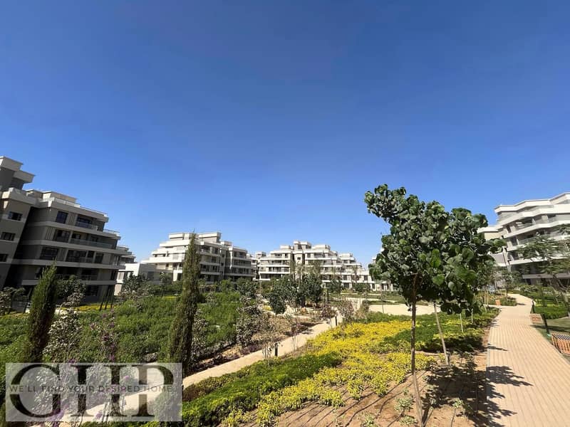 6 430134366_122163009860021314_6056259417963058628_n. jpg