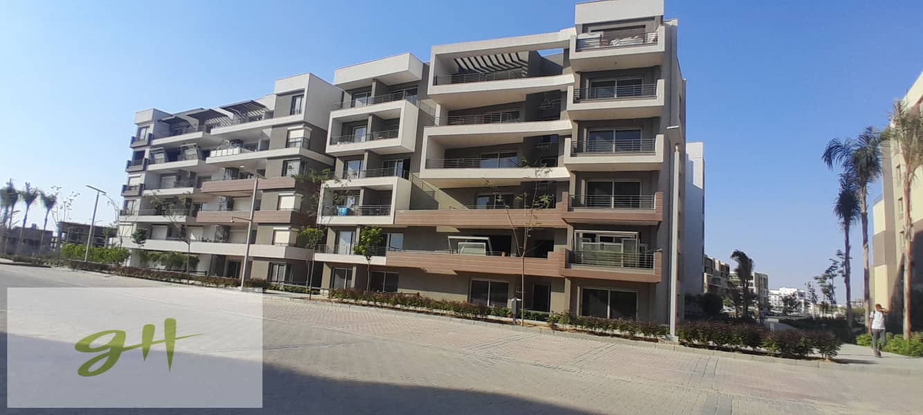 2 20251017_155752. jpg