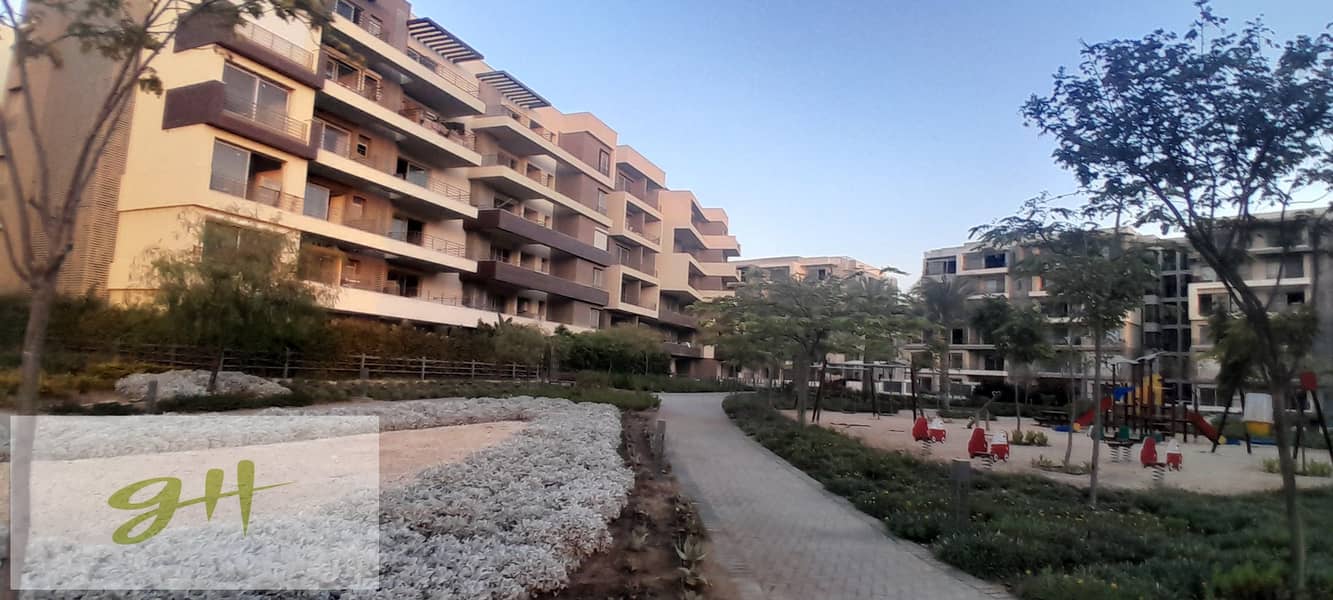 5 20251021_180429. jpg