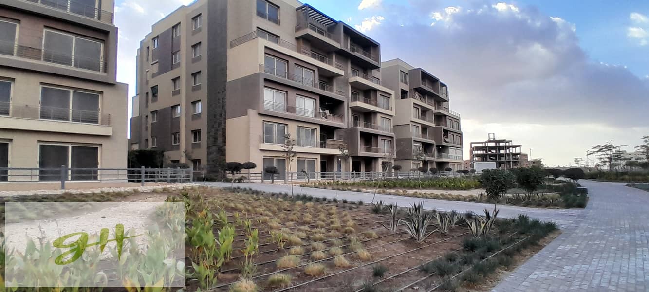 12 20260109_155758. jpg