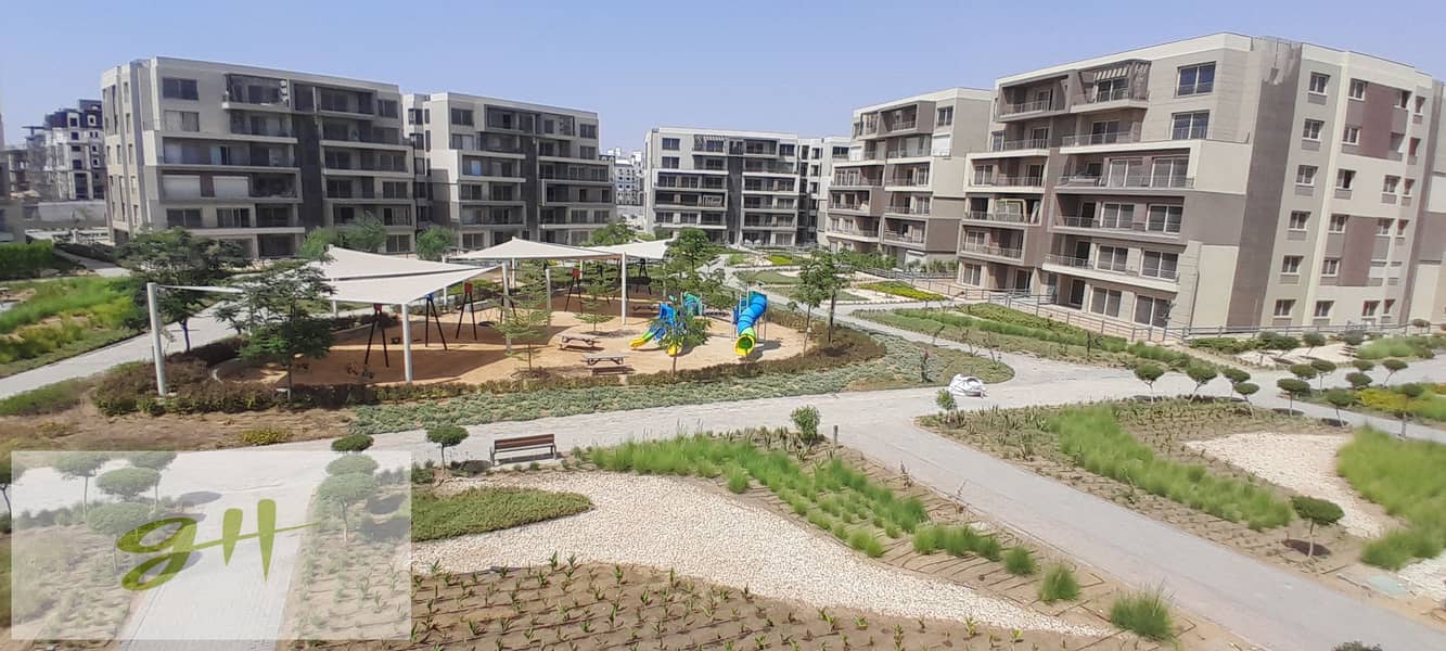 12 20250816_145836. jpg