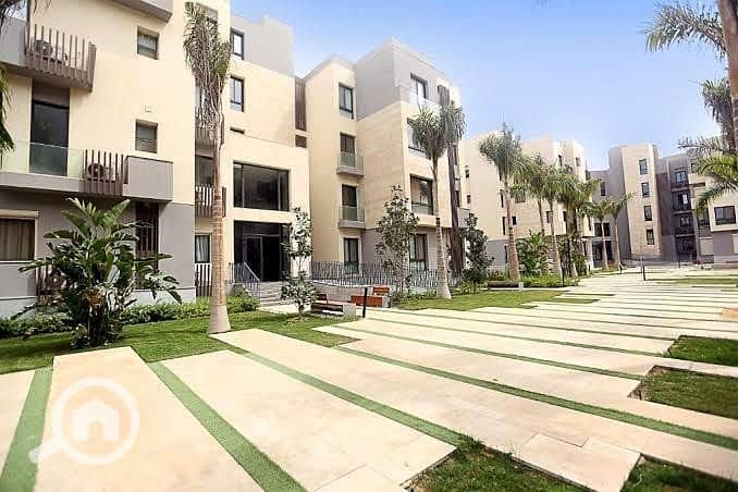 10 491657961_1028025755933239_1414092085122632436_n. jpg