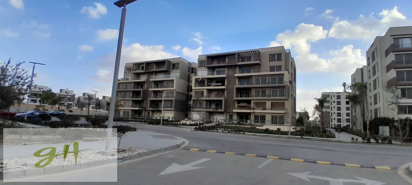 5 20260109_155605. jpg