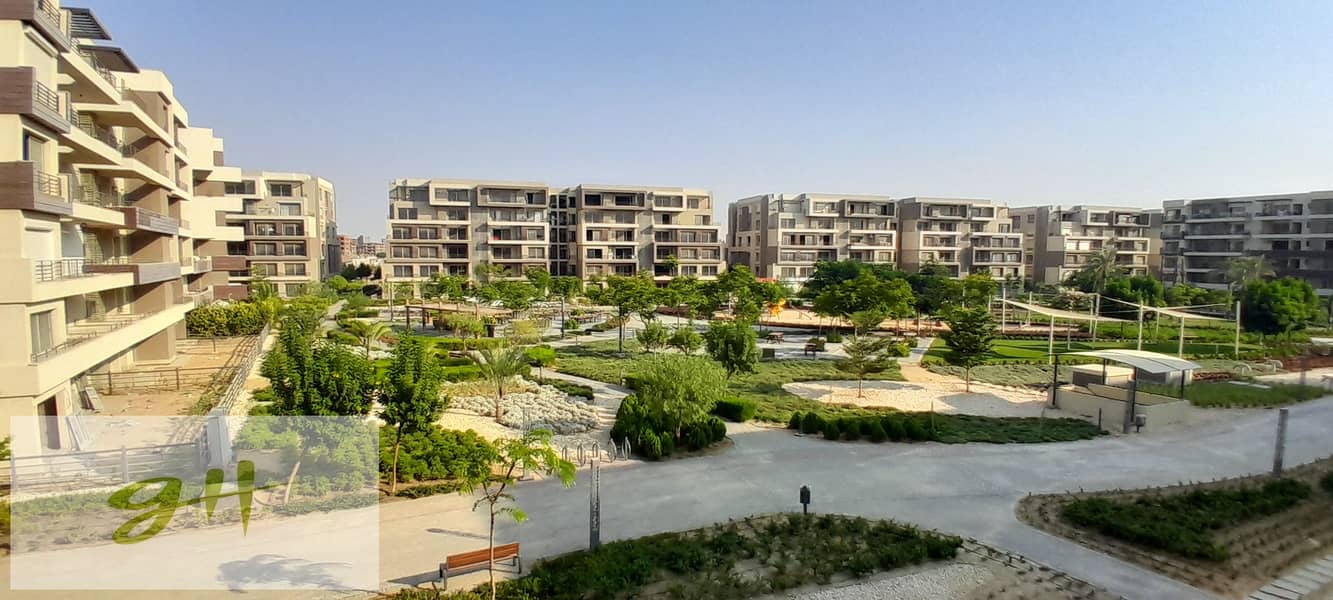 6 20250725_174115. jpg