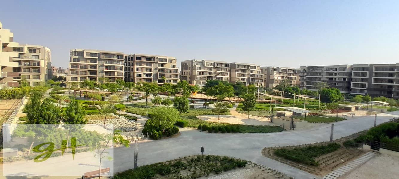 10 20250725_174053. jpg