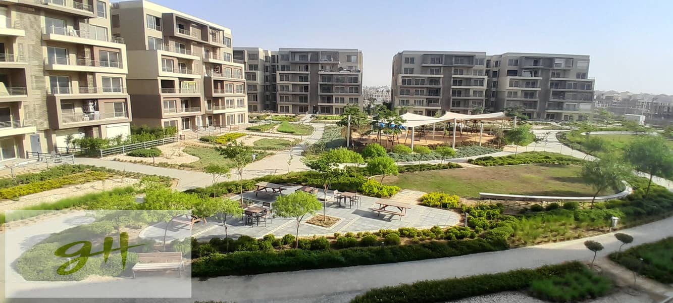 12 20250810_172414. jpg