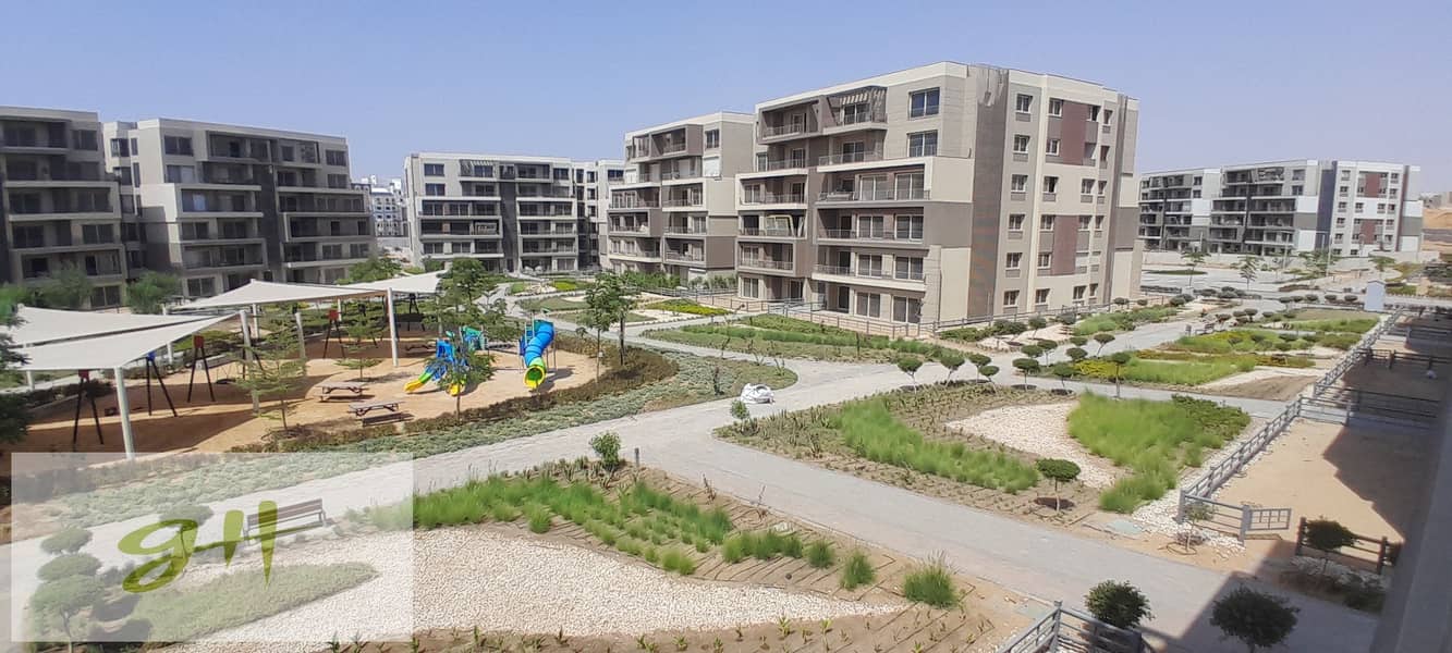 13 20250816_145833. jpg