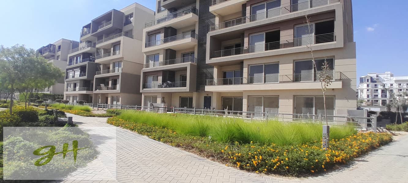 16 20251009_145344. jpg