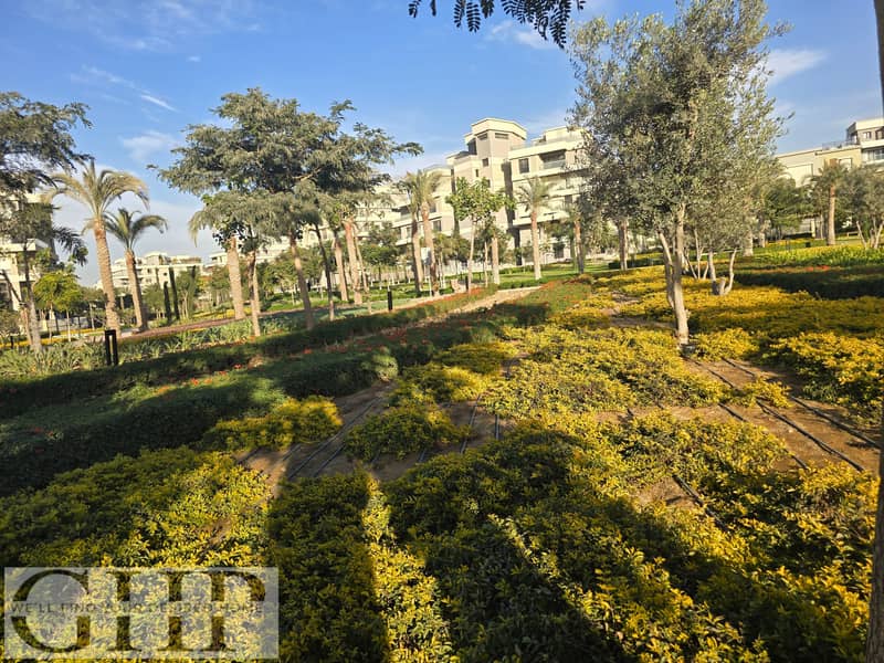 5 20260104_153539. jpg