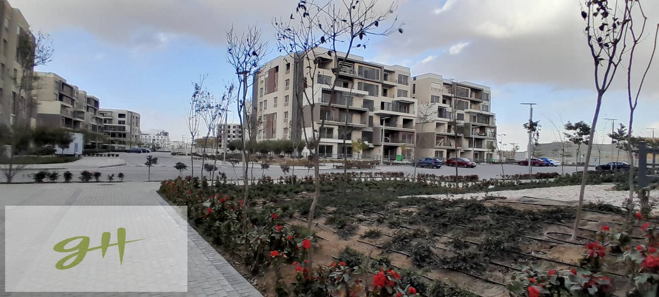 3 20260109_155515. jpg