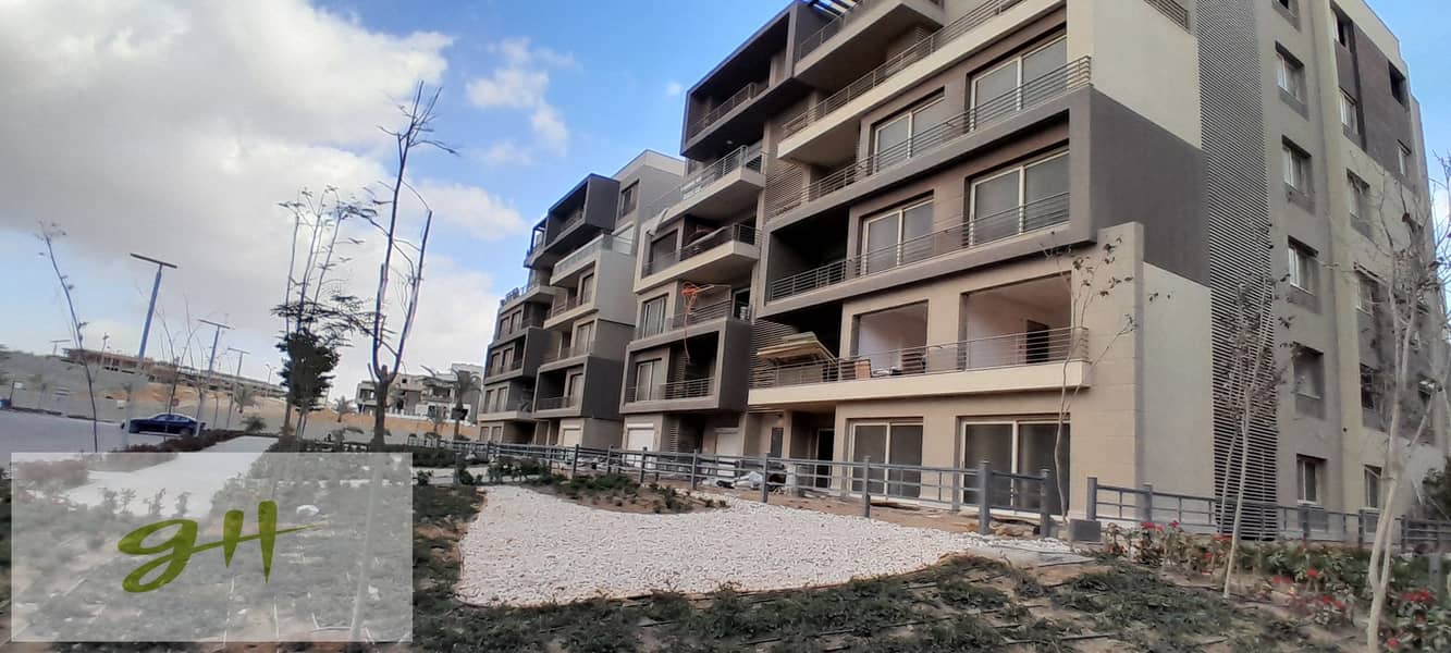 5 20260109_155525. jpg