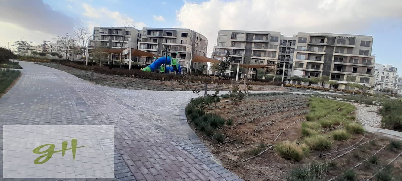 14 20260109_155747. jpg