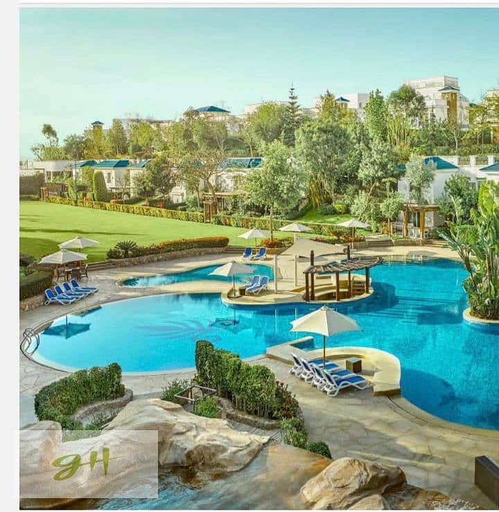 4 449957928_459667163691882_988957611660290482_n. jpg