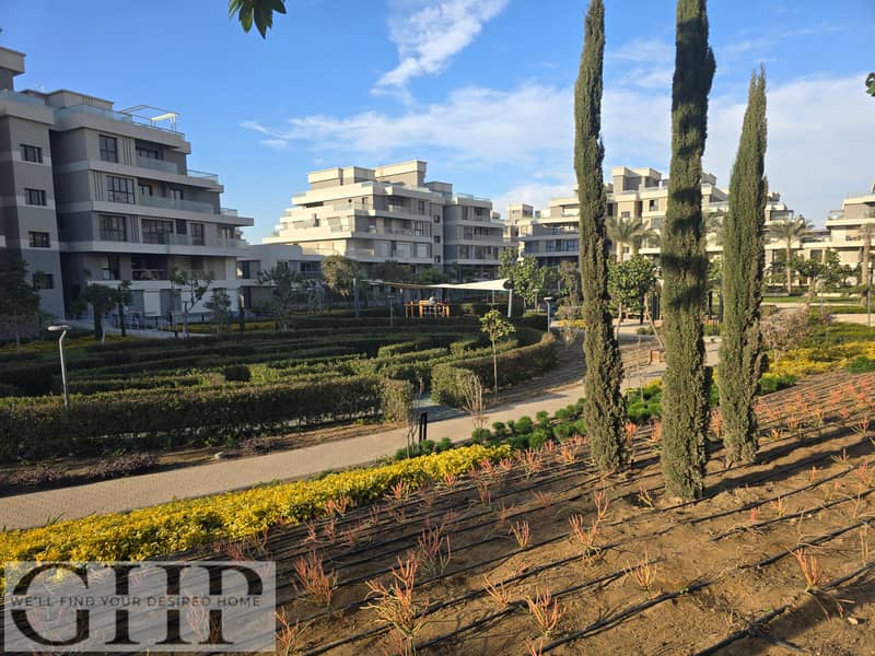 5 20260104_153001. jpg