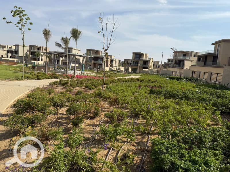 10 5229bb80-f528-490a-80fa-e6b1c6a5fab2. jpeg