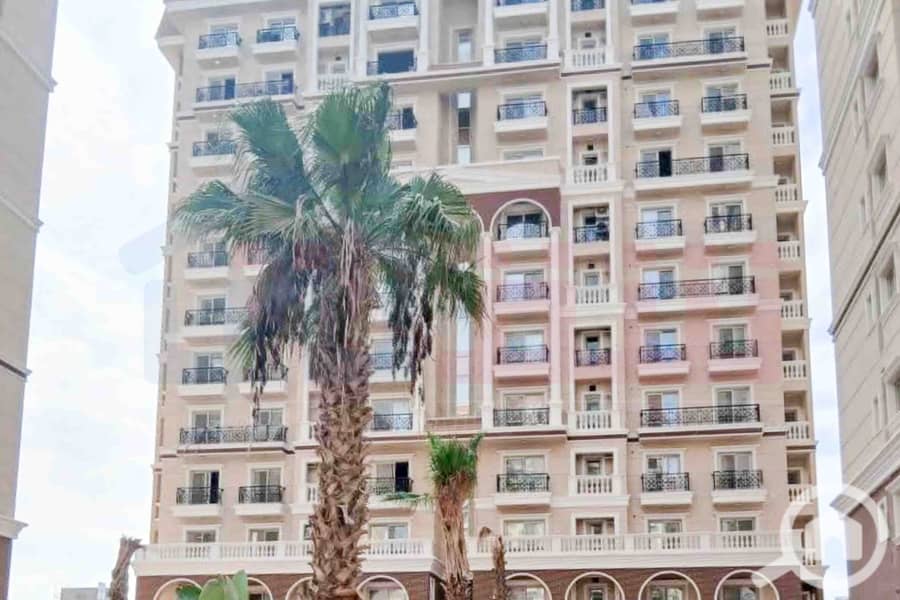 4 WhatsApp Image 2025-11-18 at 15.48. 42 (1). jpg