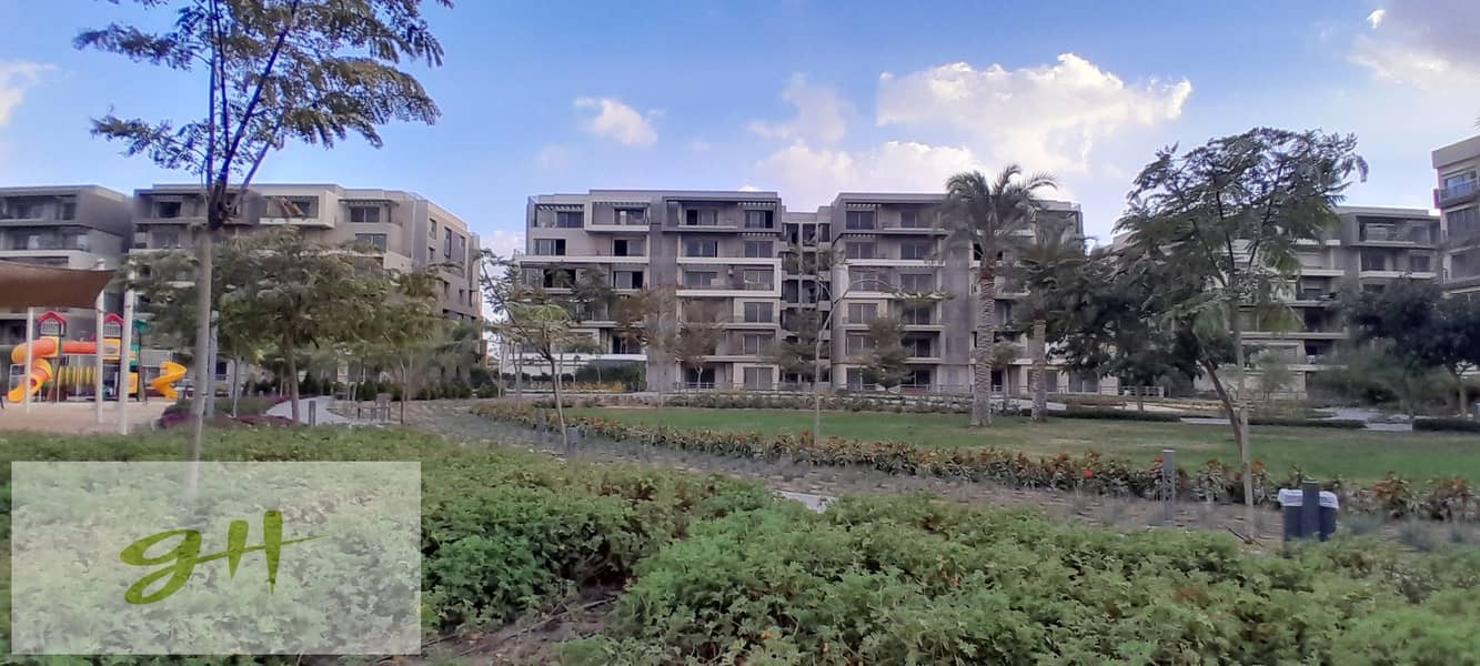 6 20260109_162117. jpg