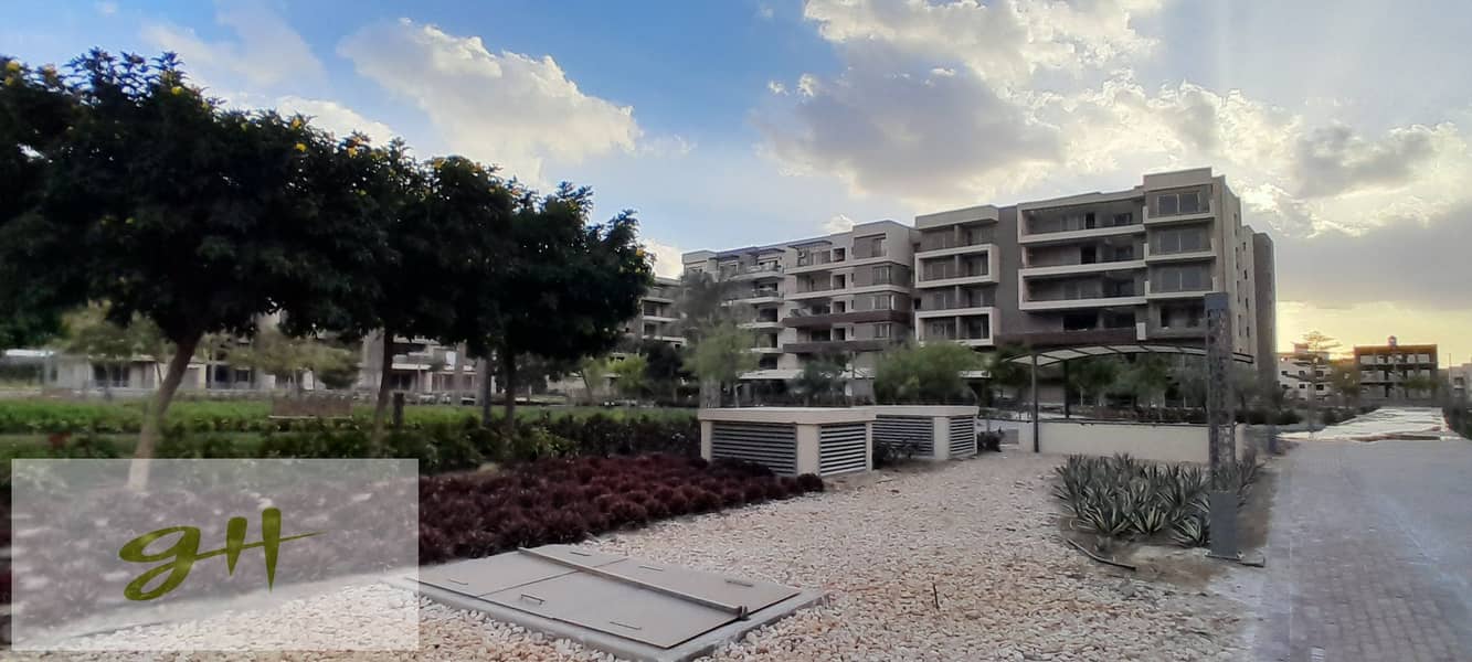 11 20260109_162030. jpg