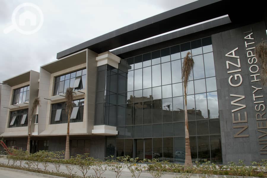 4 MSH_5017. jpg. jpg