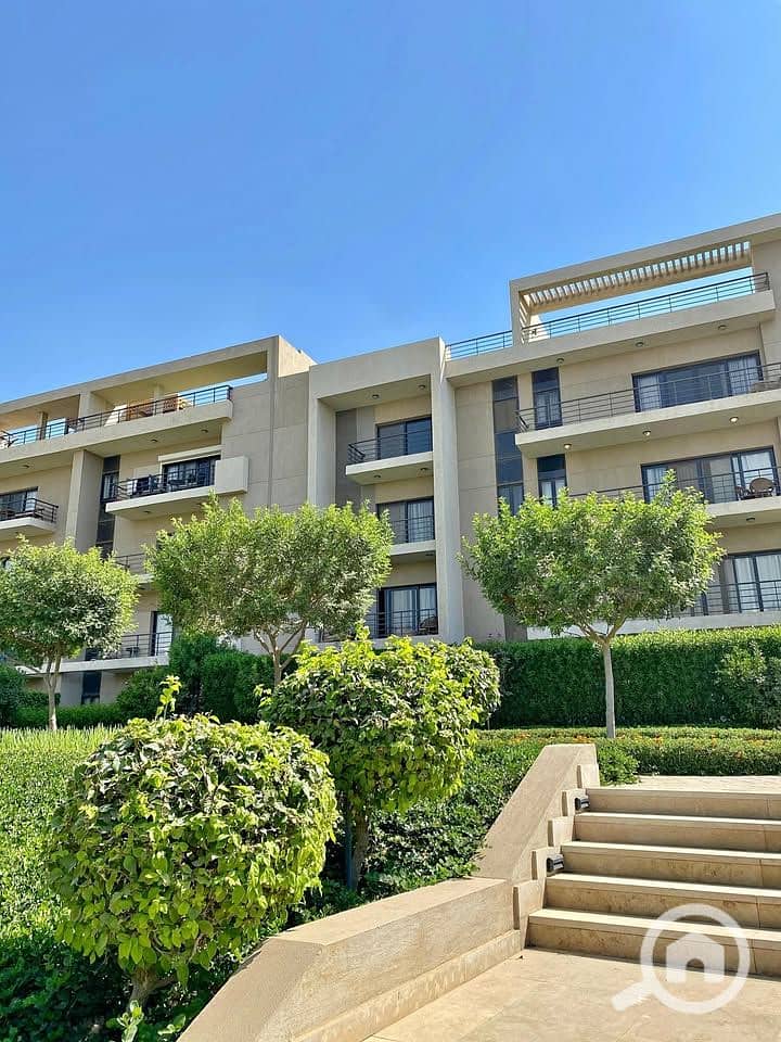 11 558518641_25060405573583311_5751384494811178743_n. jpg