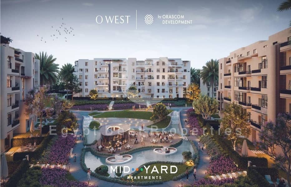 4 WhatsApp Image 2024-11-19 at 14.24. 09_cf280c58. jpg