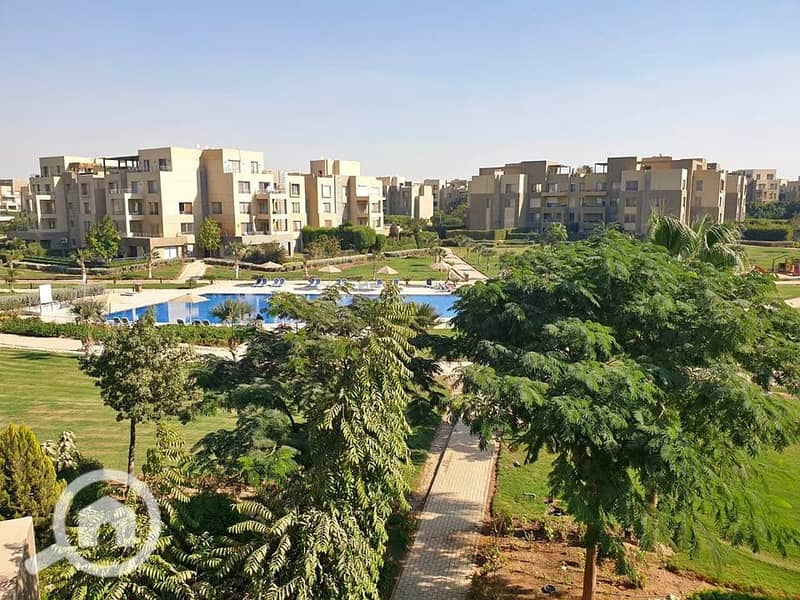 11 591825088_25164523656543822_9016428029479670751_n. jpg