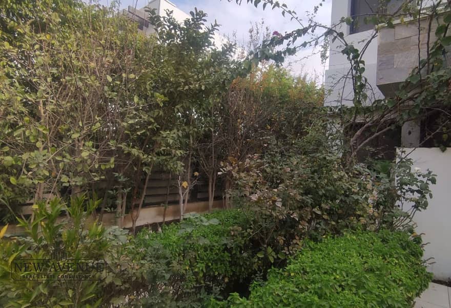 12 bfc3378a-431d-48cc-87ea-8bef33d15c12. jpg